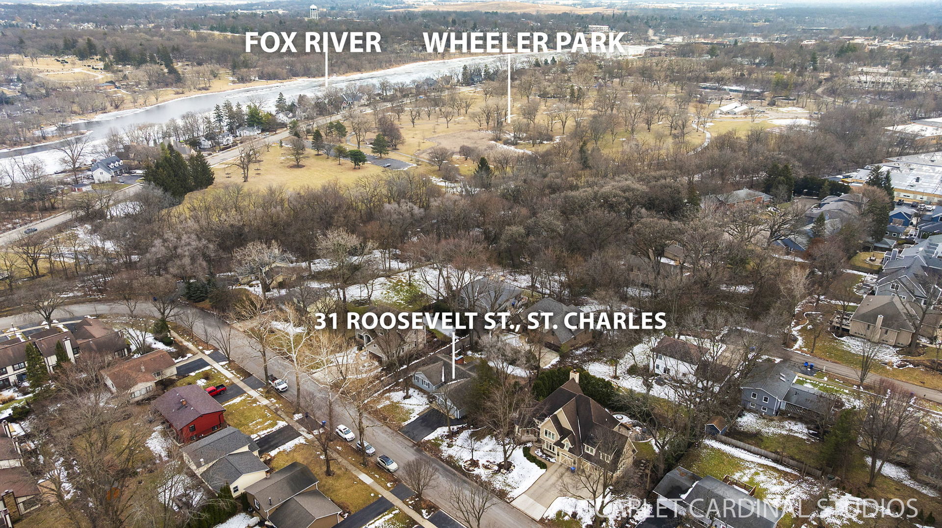 31 Roosevelt Street St. Charles, IL 60174 - Photo 39 of 44