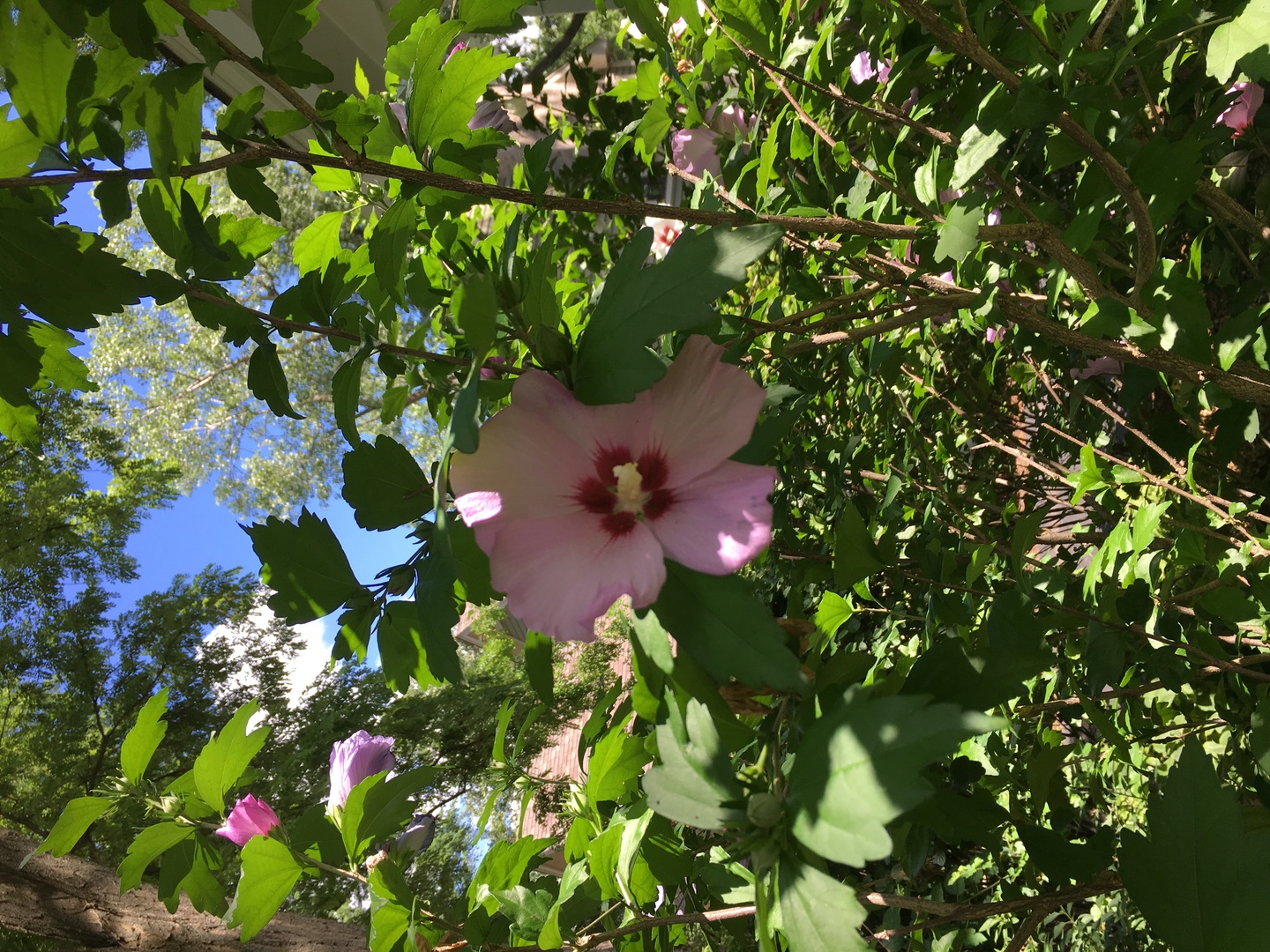 31 Roosevelt Street St. Charles, IL 60174 - Photo 43 of 44