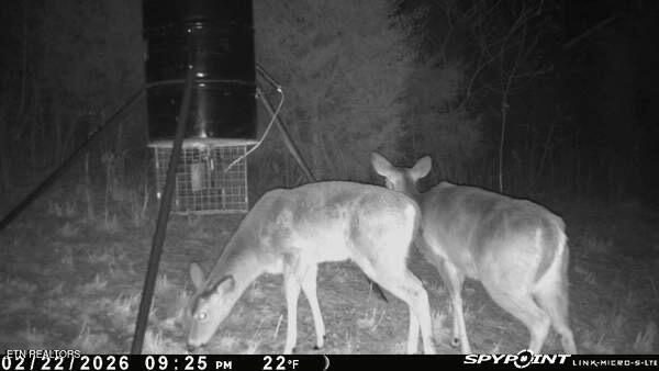 718 Offutt Road Clinton, TN 37716 - Photo 56 of 57 IMG_7660