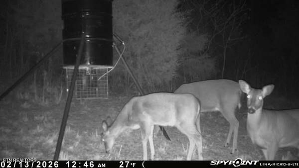 718 Offutt Road Clinton, TN 37716 - Photo 57 of 57 IMG_7662