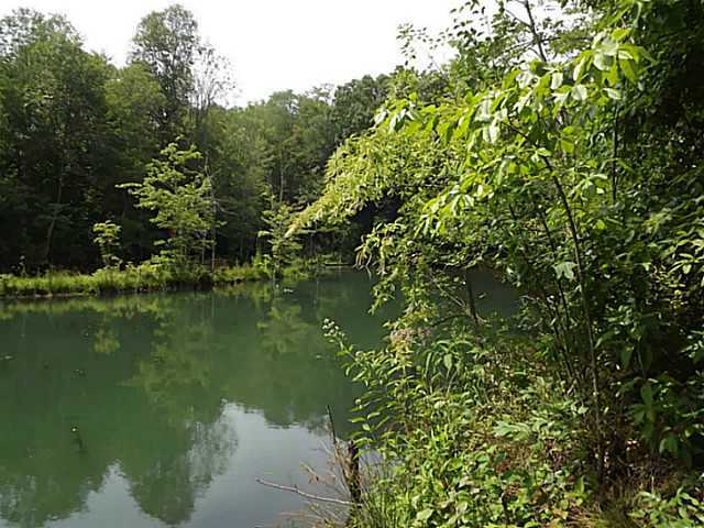13322 10 Spot Road Nelsonville, OH 45764 - Photo 2 of 11