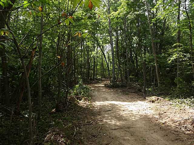 13322 10 Spot Road Nelsonville, OH 45764 - Photo 4 of 11