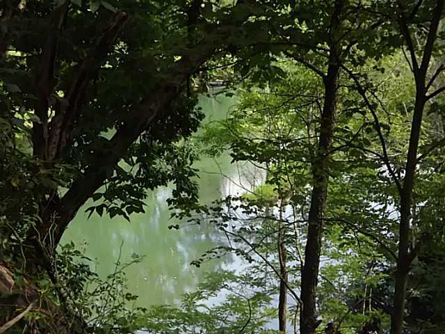 13322 10 Spot Road Nelsonville, OH 45764 - Photo 5 of 11