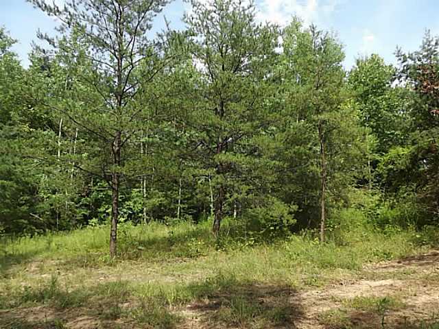 13322 10 Spot Road Nelsonville, OH 45764 - Photo 7 of 11