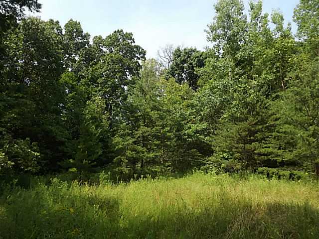 13322 10 Spot Road Nelsonville, OH 45764 - Photo 9 of 11