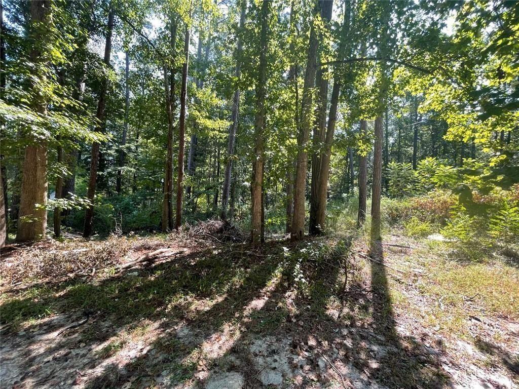 6031 Falcon Court Austell, GA 30106 - Photo 2 of 11 a view of a forest filled with trees