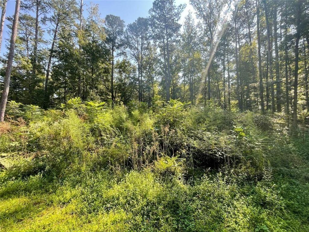 6031 Falcon Court Austell, GA 30106 - Photo 3 of 11 a view of a lush green forest with large trees