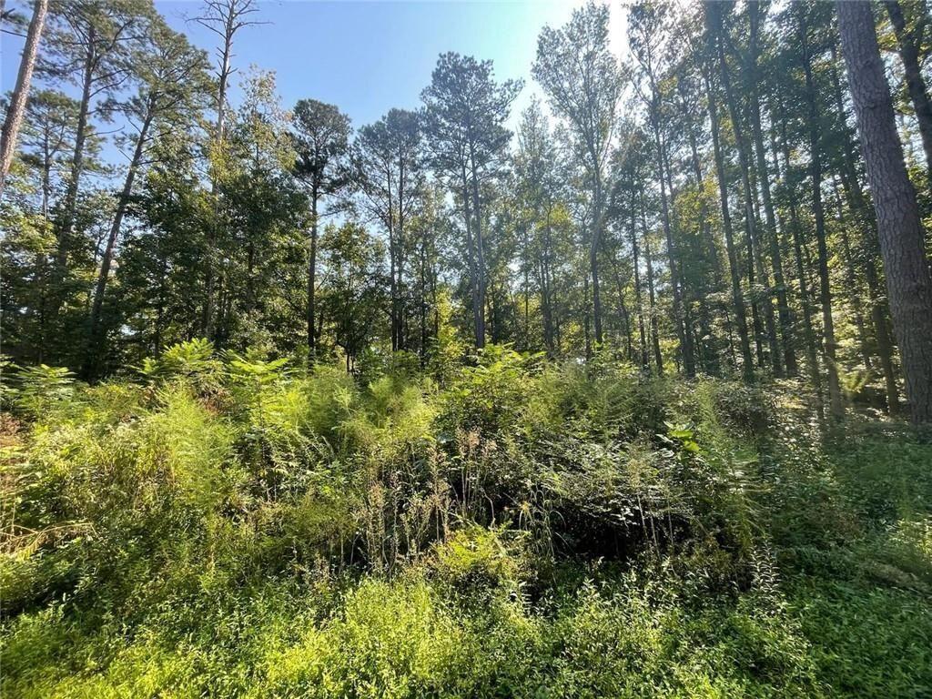 6031 Falcon Court Austell, GA 30106 - Photo 5 of 11 a view of a lush green forest with large trees