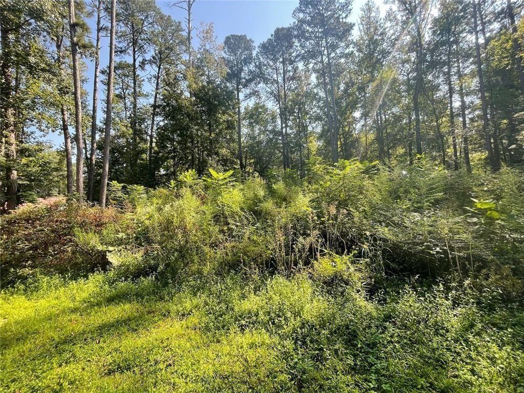 6031 Falcon Court Austell, GA 30106 - Photo 7 of 11 a view of a yard with large trees