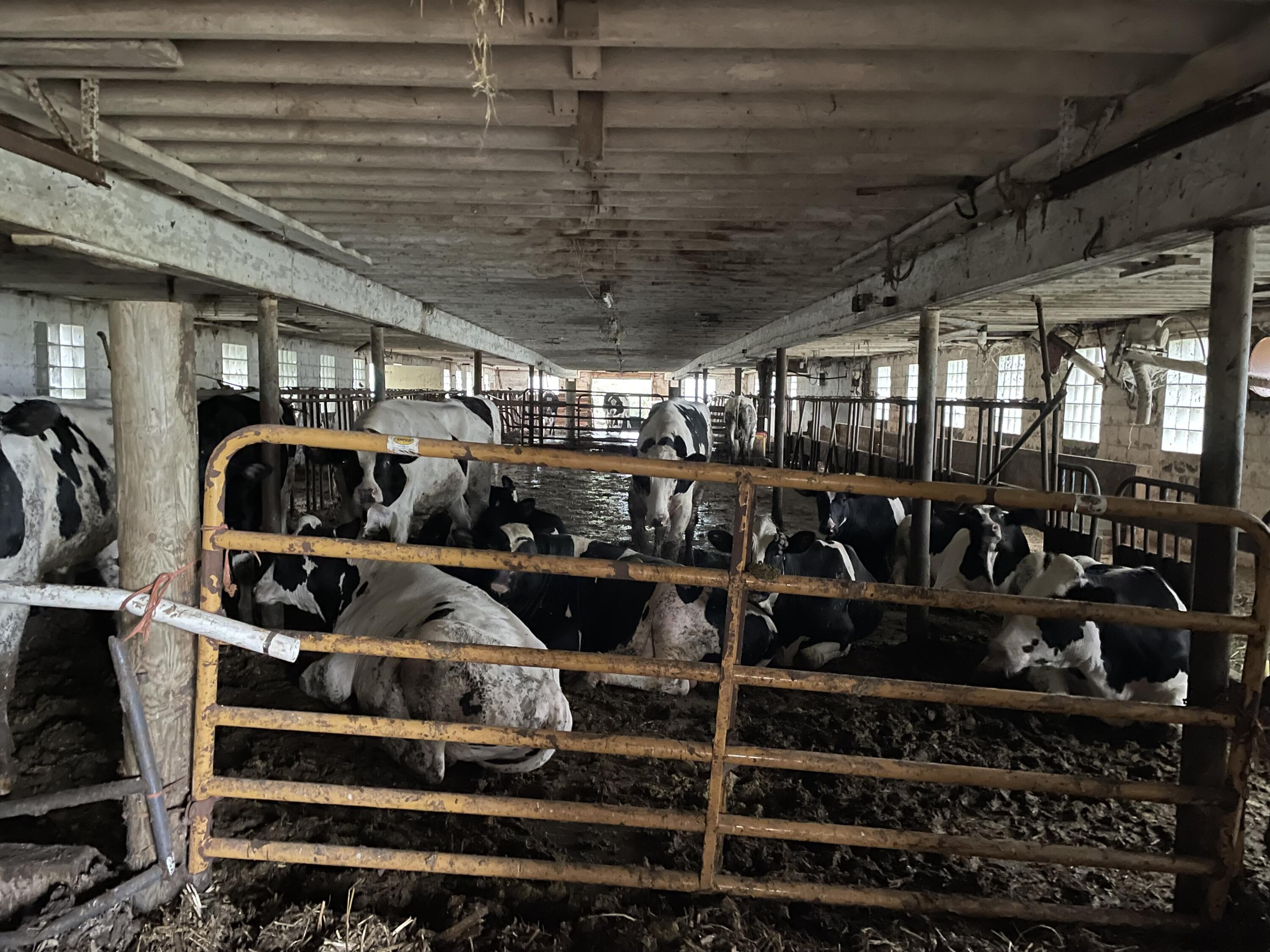 W2873 Buol Road West Salem, WI 54669 - Photo 31 of 41 barn 3