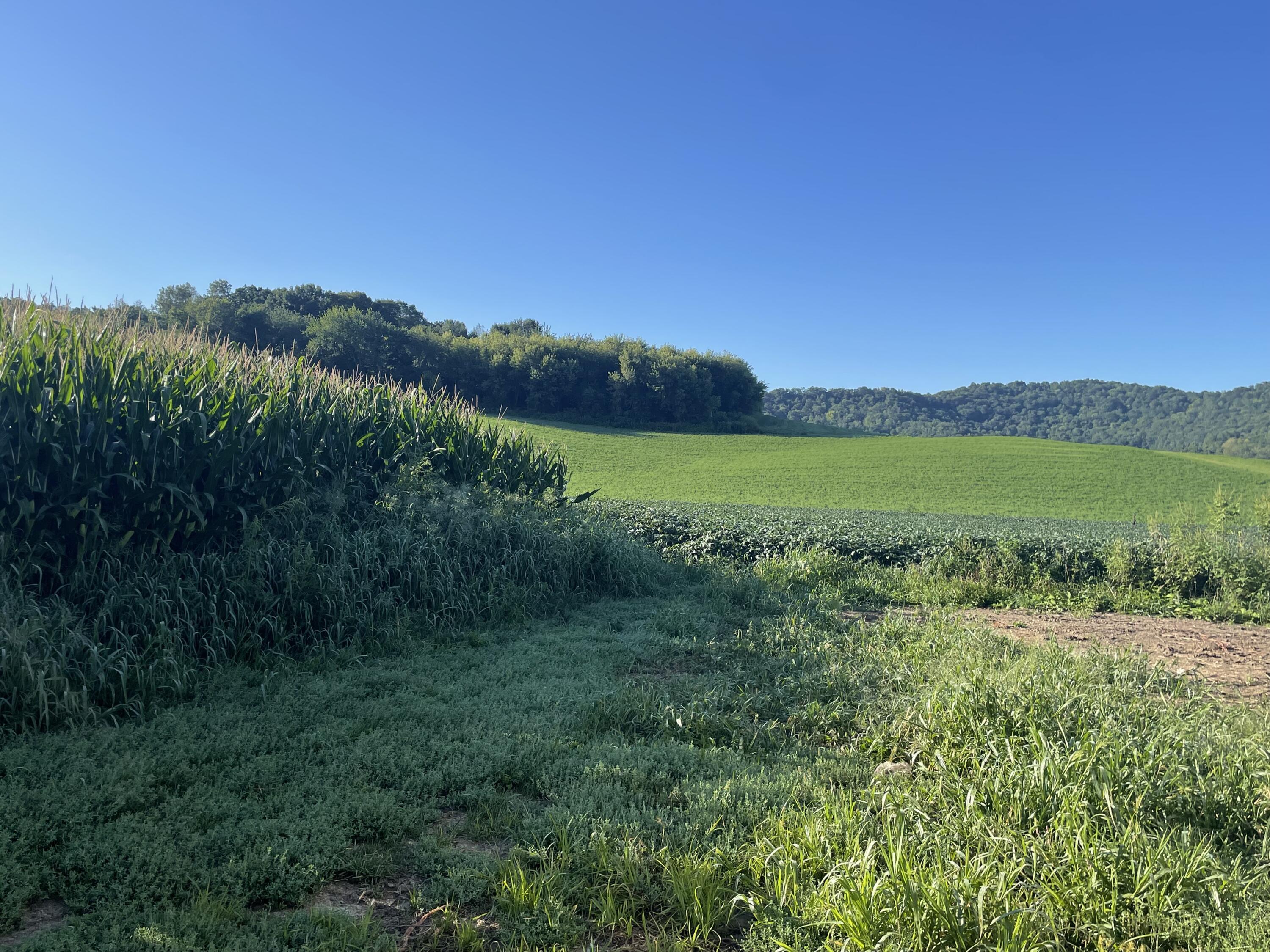 W2873 Buol Road West Salem, WI 54669 - Photo 40 of 41 acreage