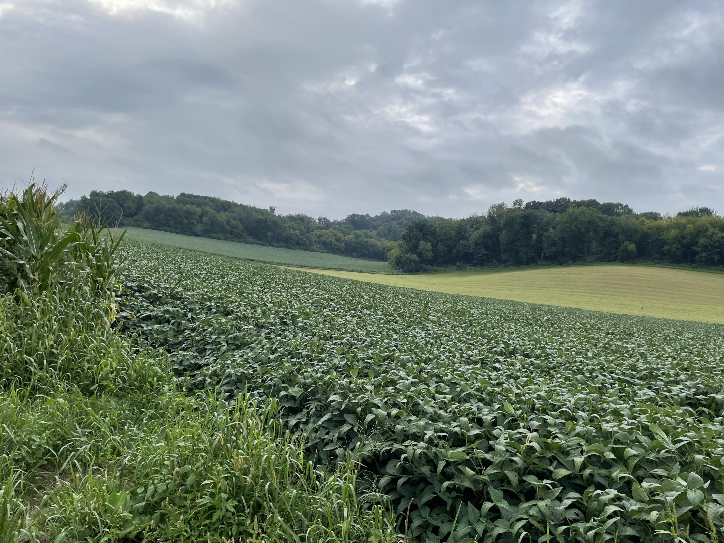 W2873 Buol Road West Salem, WI 54669 - Photo 41 of 41 acreage