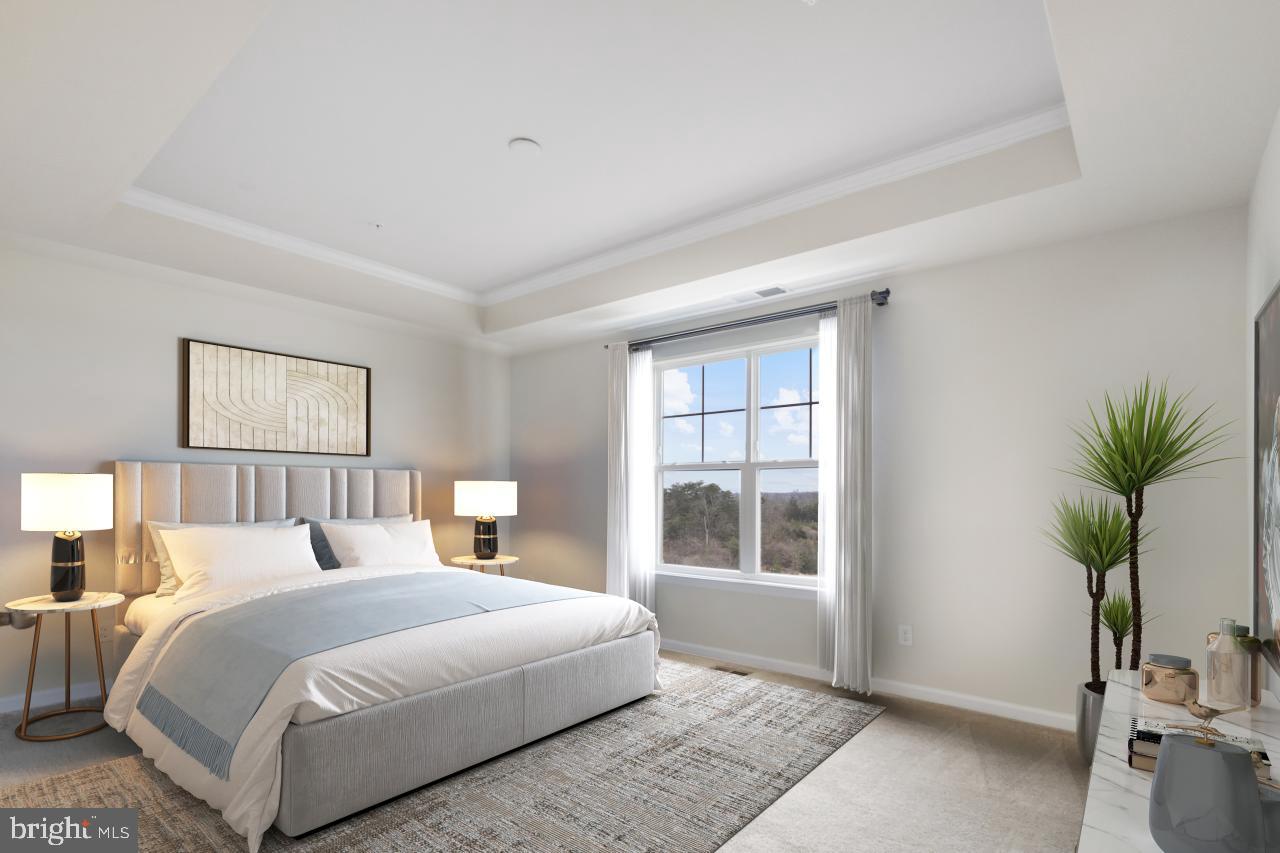 43367 Town Gate Square Chantilly, VA 20152 - Photo 15 of 36 a bedroom with a large bed and a potted plant