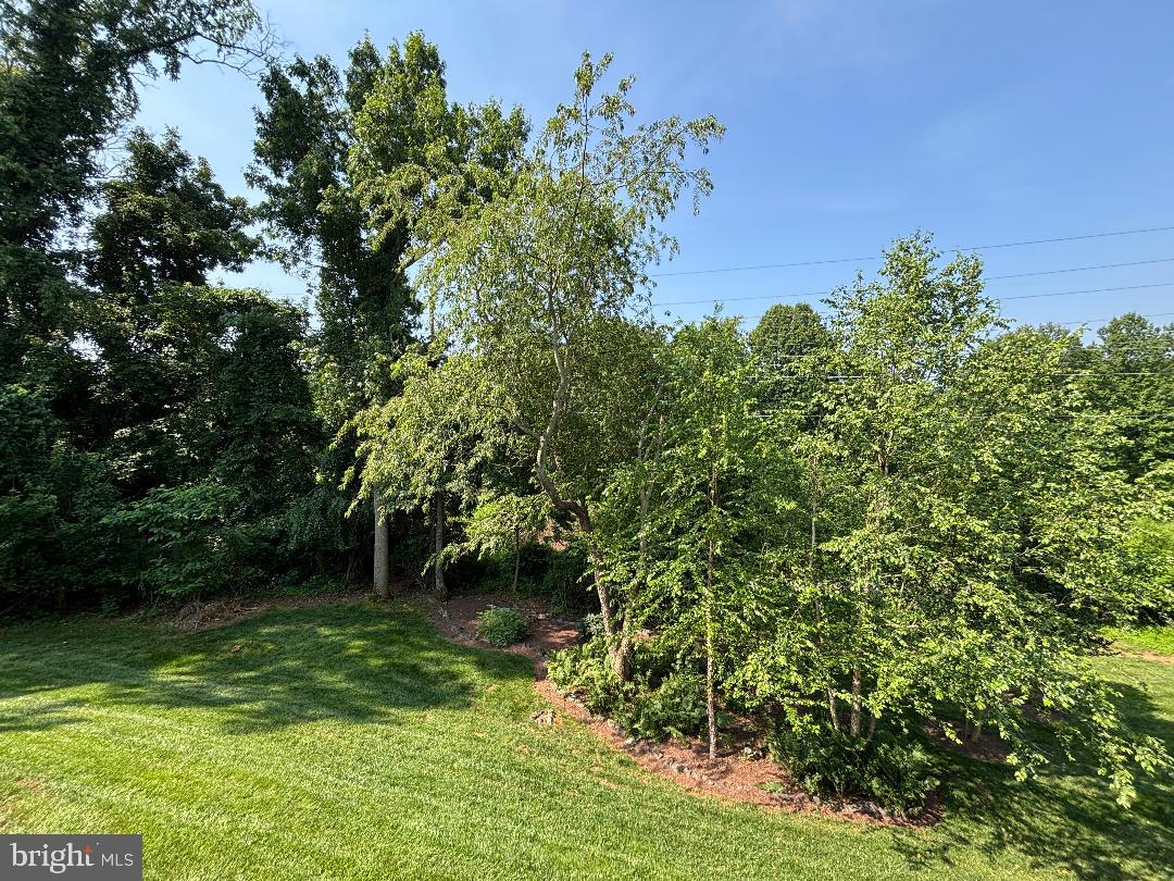 1918 Contralto Court Vienna, VA 22182 - Photo 7 of 10 Backing to Trees