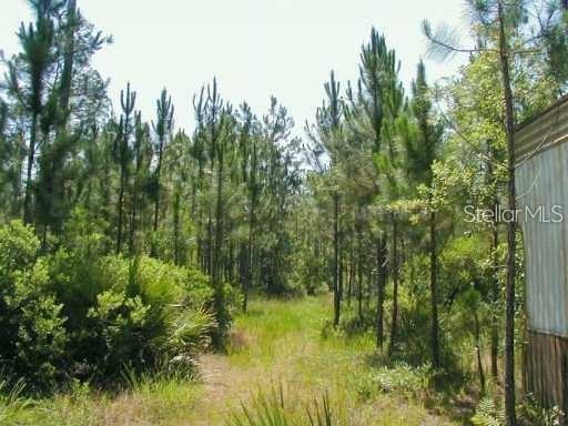 323 Old Bubbly Road Pierson, FL 32180 - Photo 3 of 3 Gallery Image 3