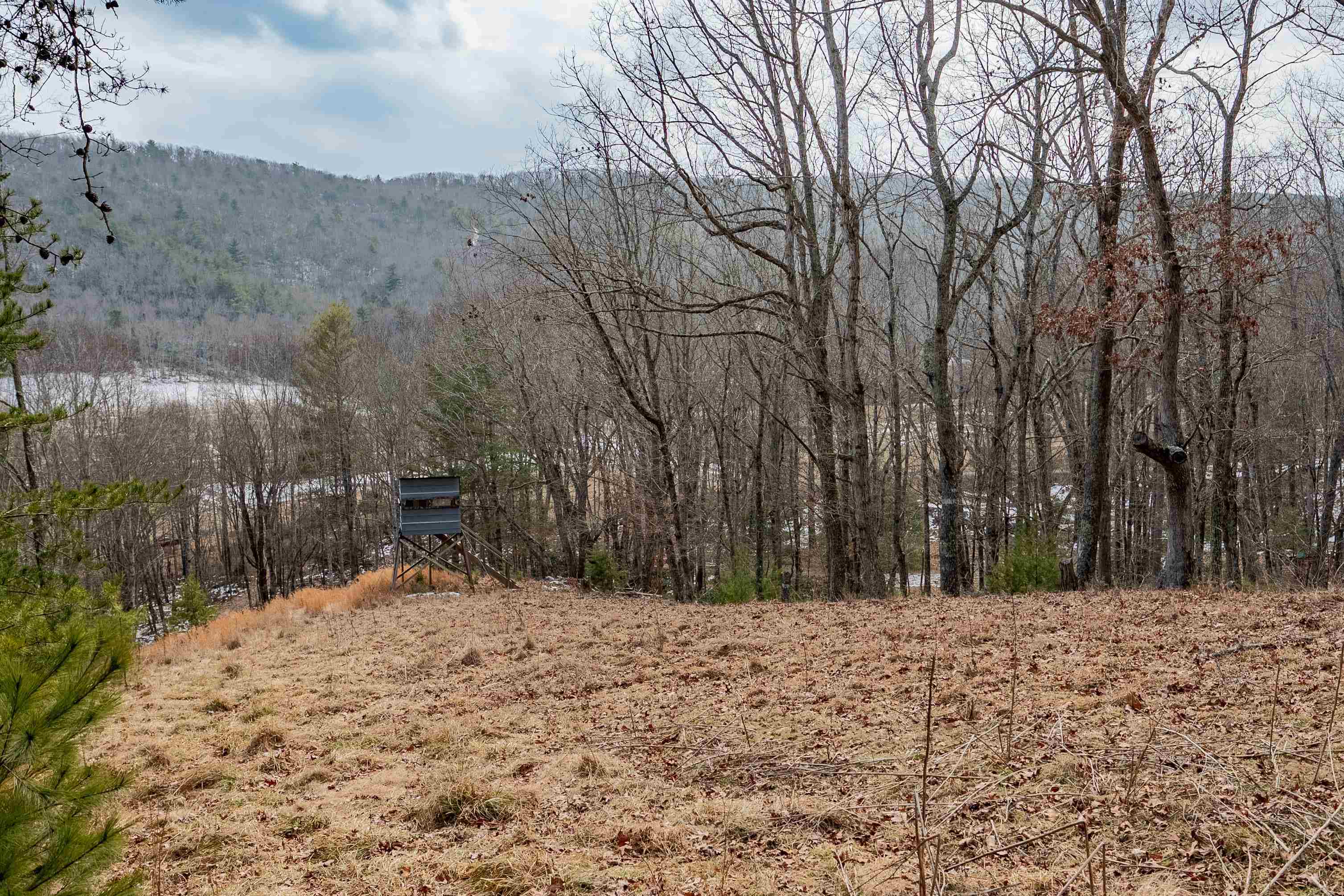 Tbd Spur Branch Road Dublin, VA 24084 - Photo 39 of 84 Gallery Image 39