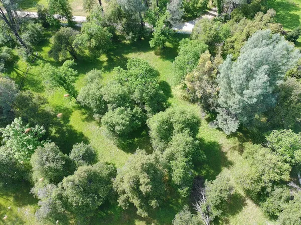 $169,000 | Clough Creek Road, Redding, CA 96002