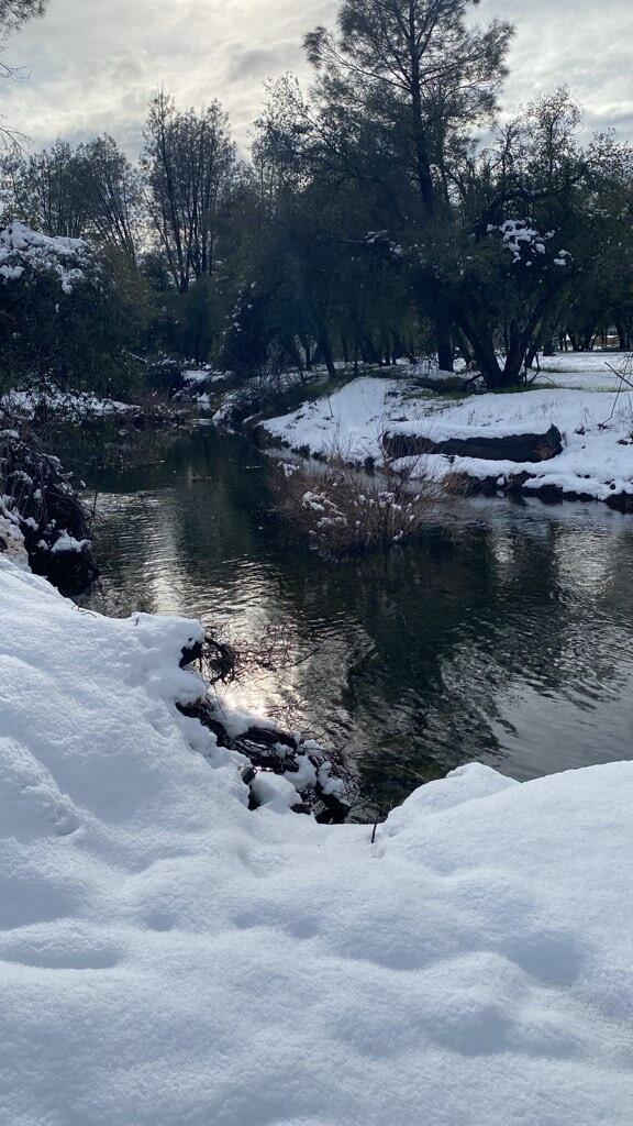 Clough Creek Road Redding, CA 96002 - Photo 21 of 23 Image-1