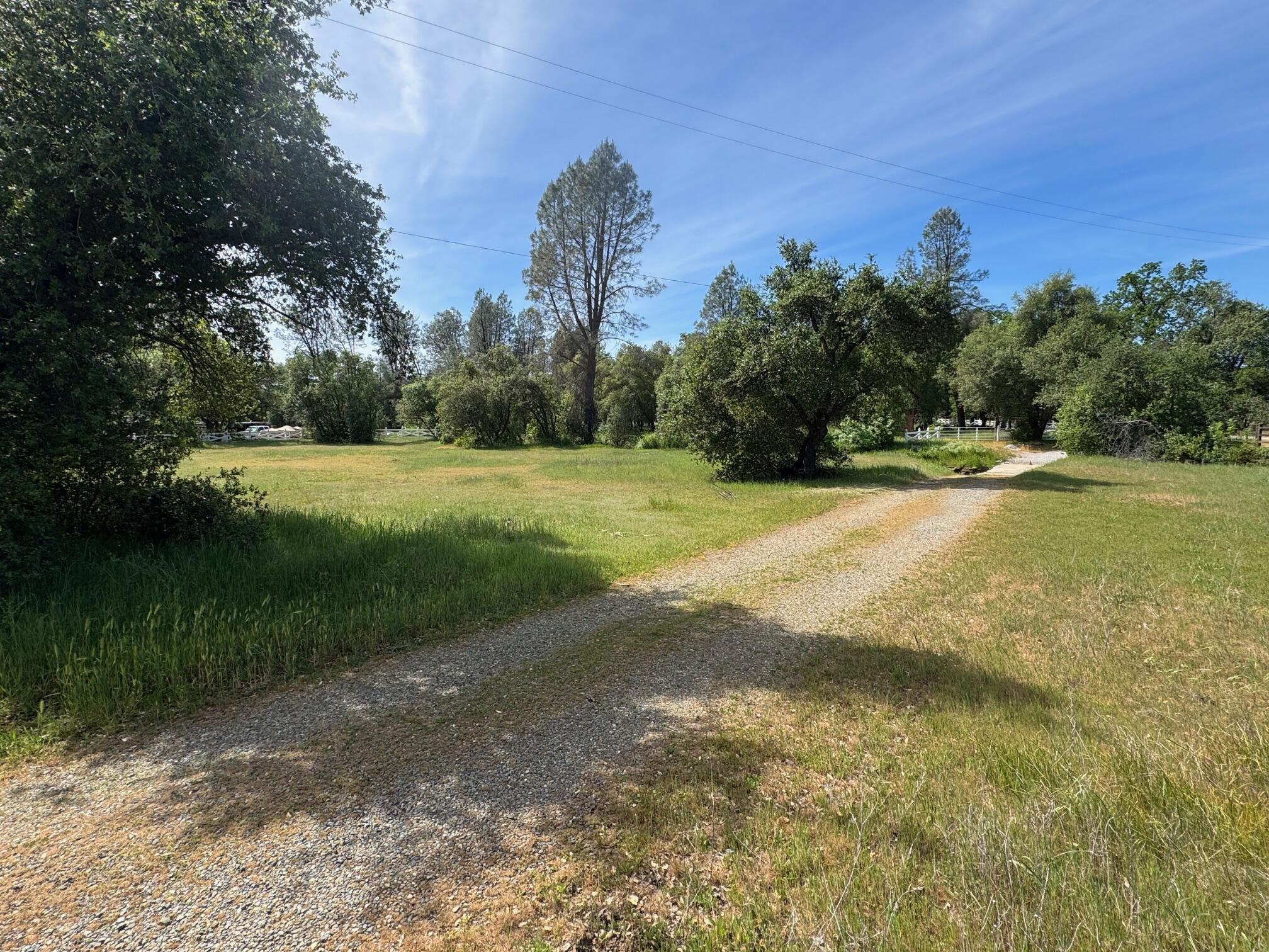 Clough Creek Road Redding, CA 96002 - Photo 6 of 23 a view of a field with trees in the background