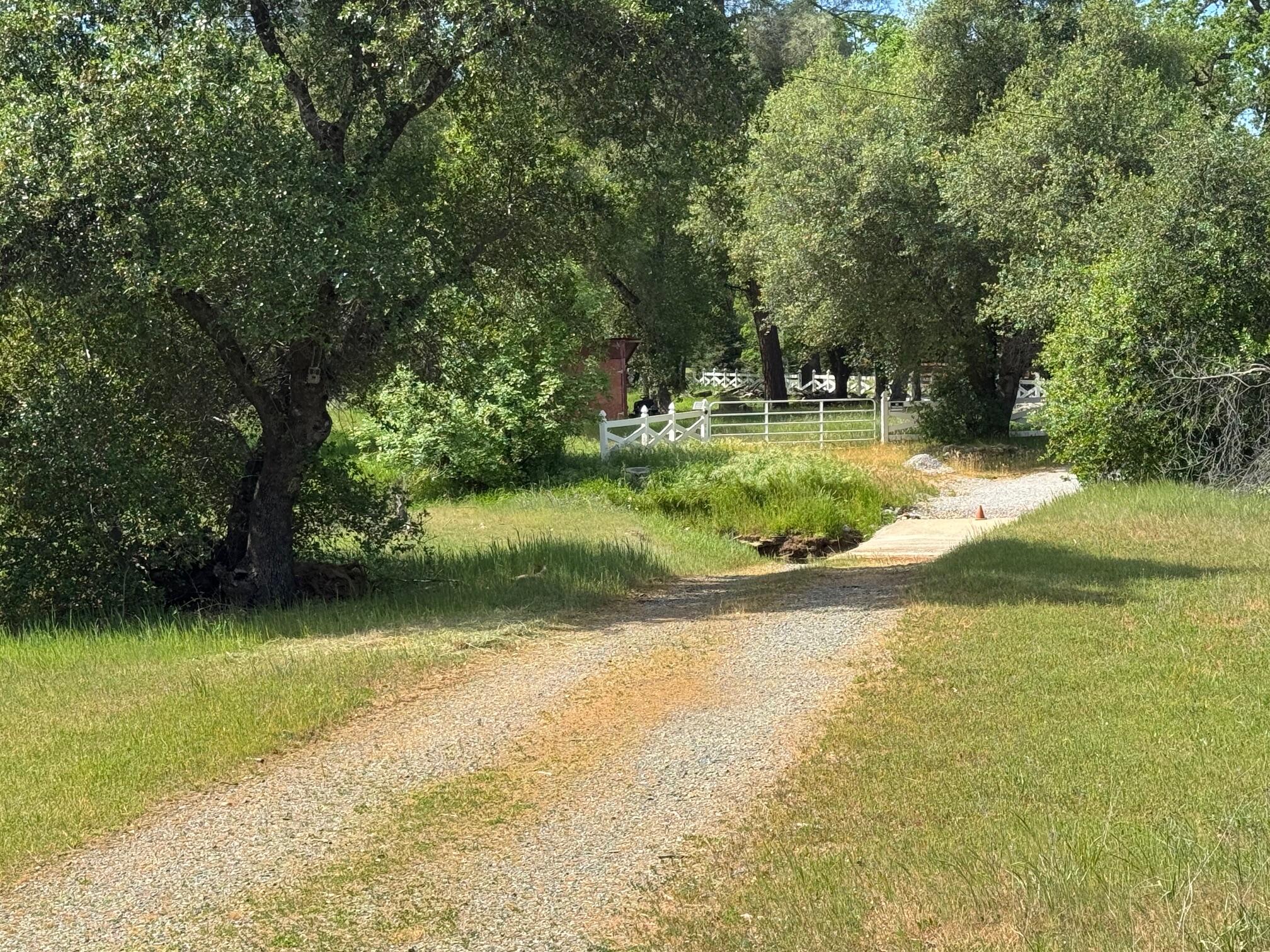 Clough Creek Road Redding, CA 96002 - Photo 6 of 23 IMG_0374