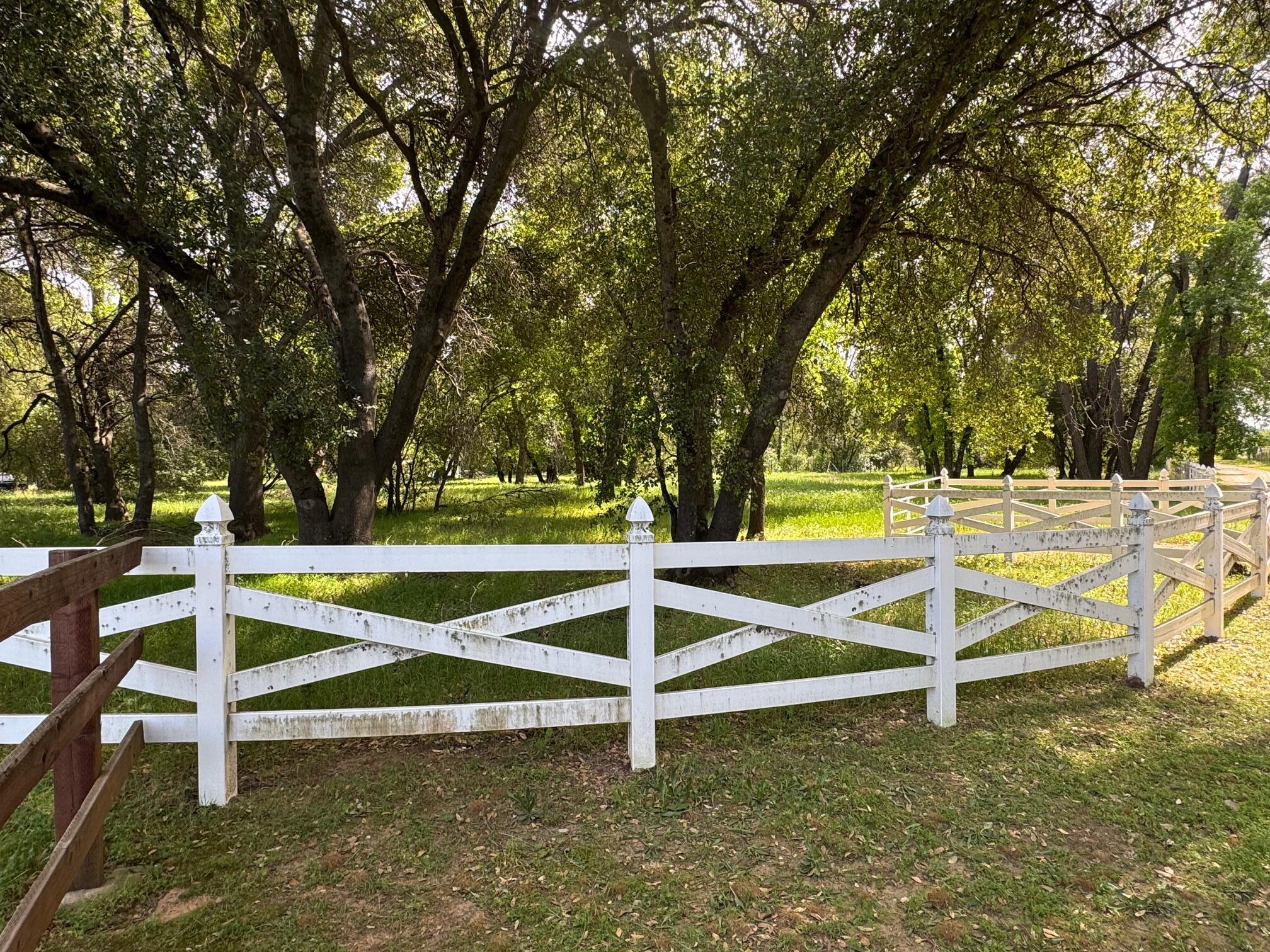 Clough Creek Road Redding, CA 96002 - Photo 9 of 23 a view of outdoor space with trees