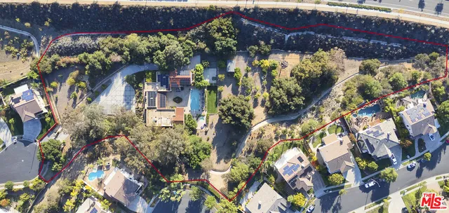 a picture of flowers