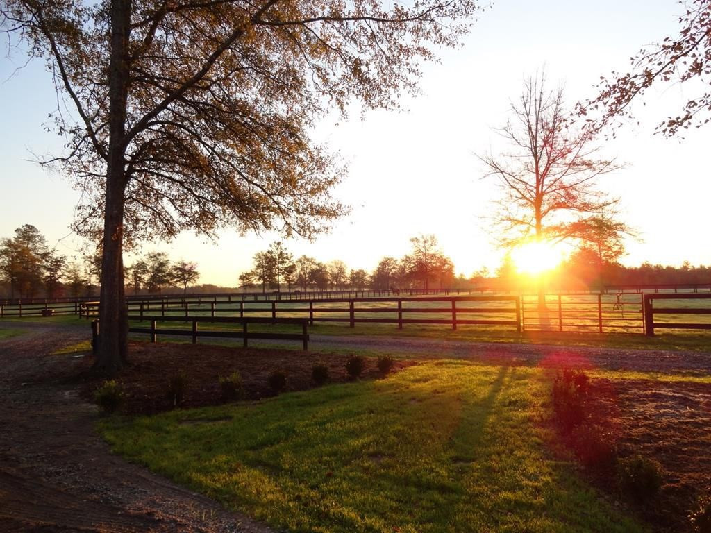 265 4 Oaks Road Wagener, SC 29164 - Photo 27 of 35