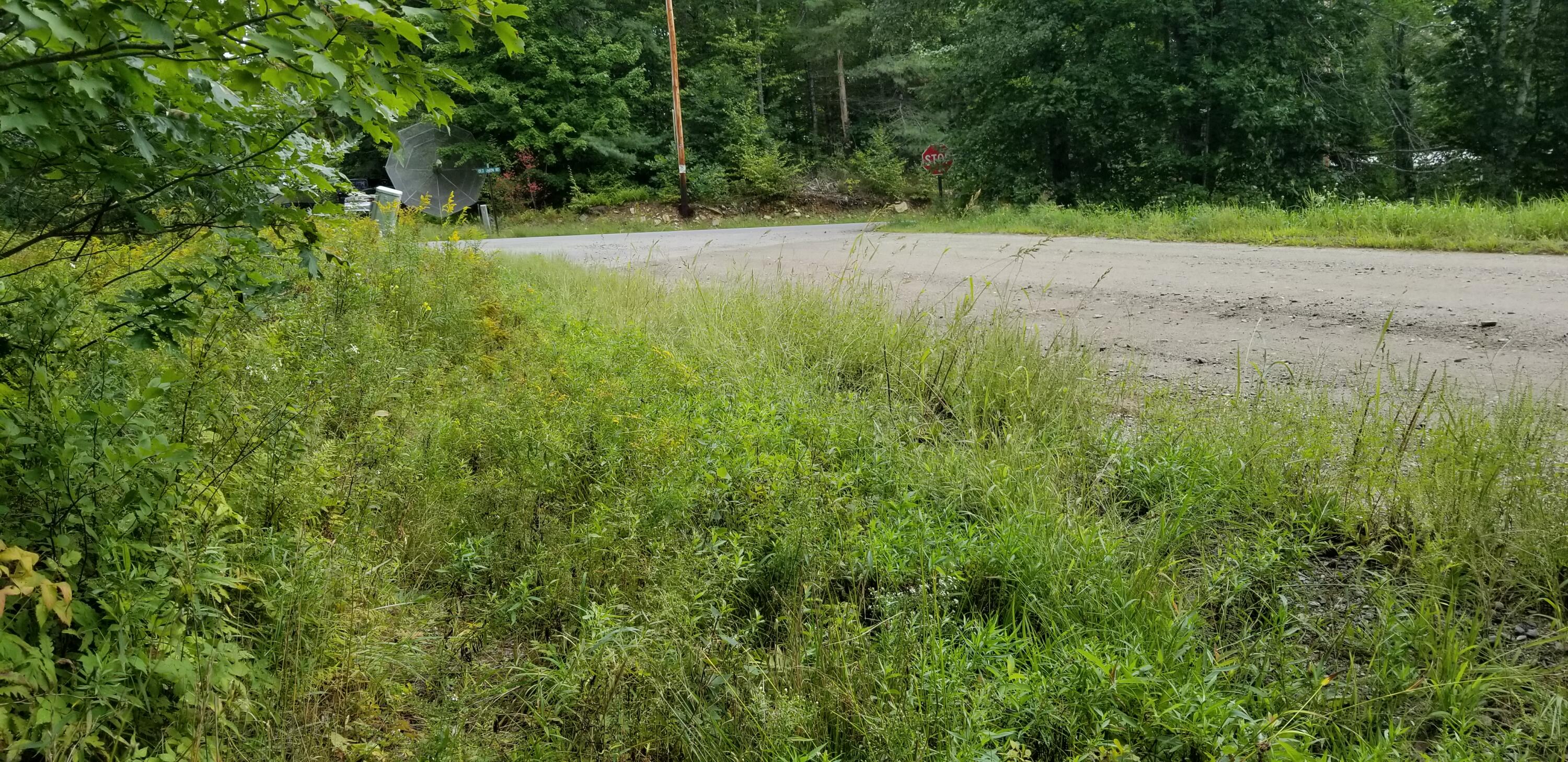 0 Sprague Road South Washington, ME 04574 - Photo 5 of 6 20210829_114238