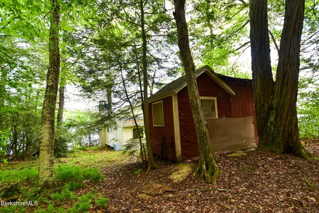a view of a big room with plants and wooden floor