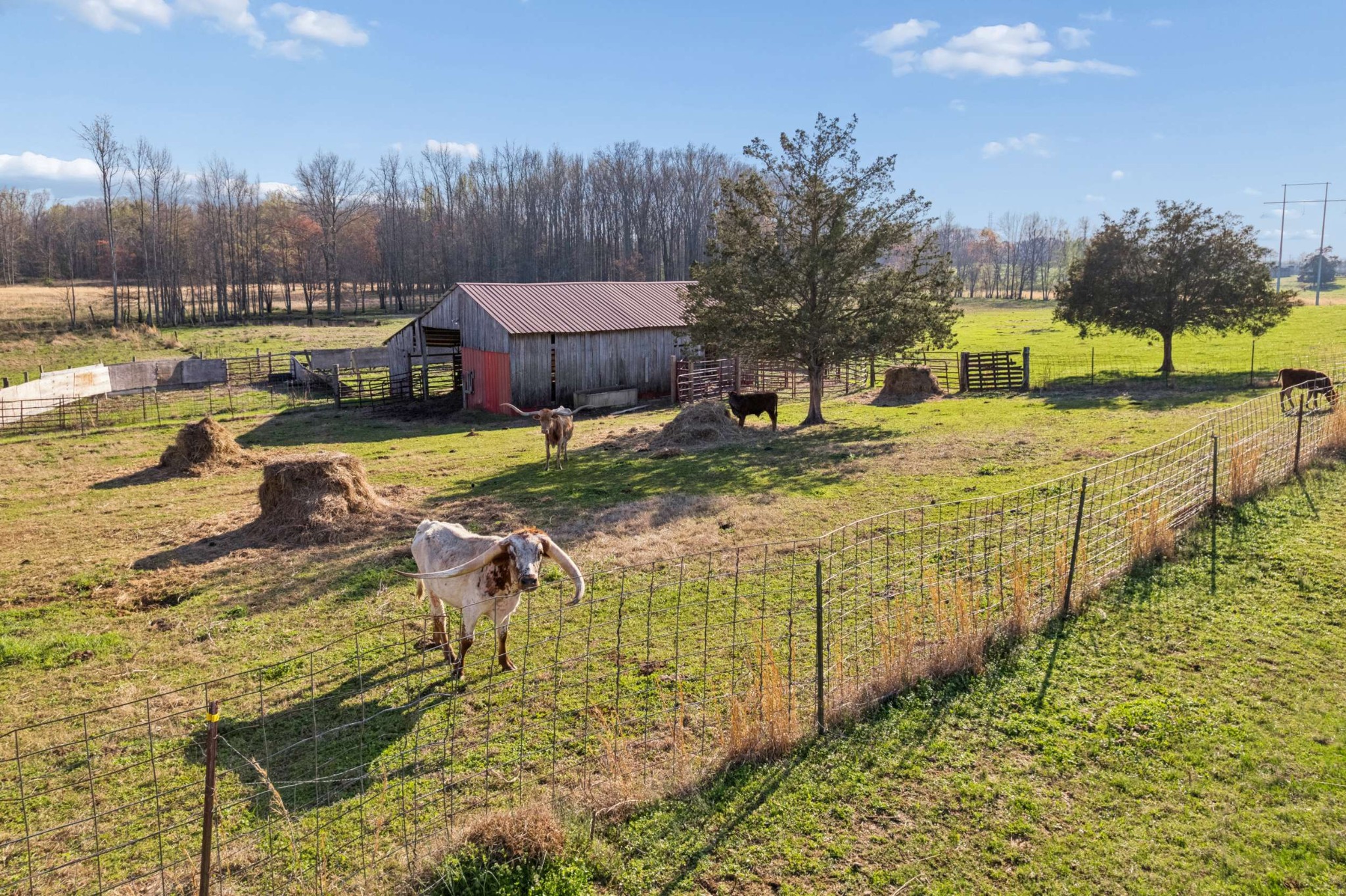 324 Laster-Holman Lane Decherd, TN 37324 - Photo 1 of 60