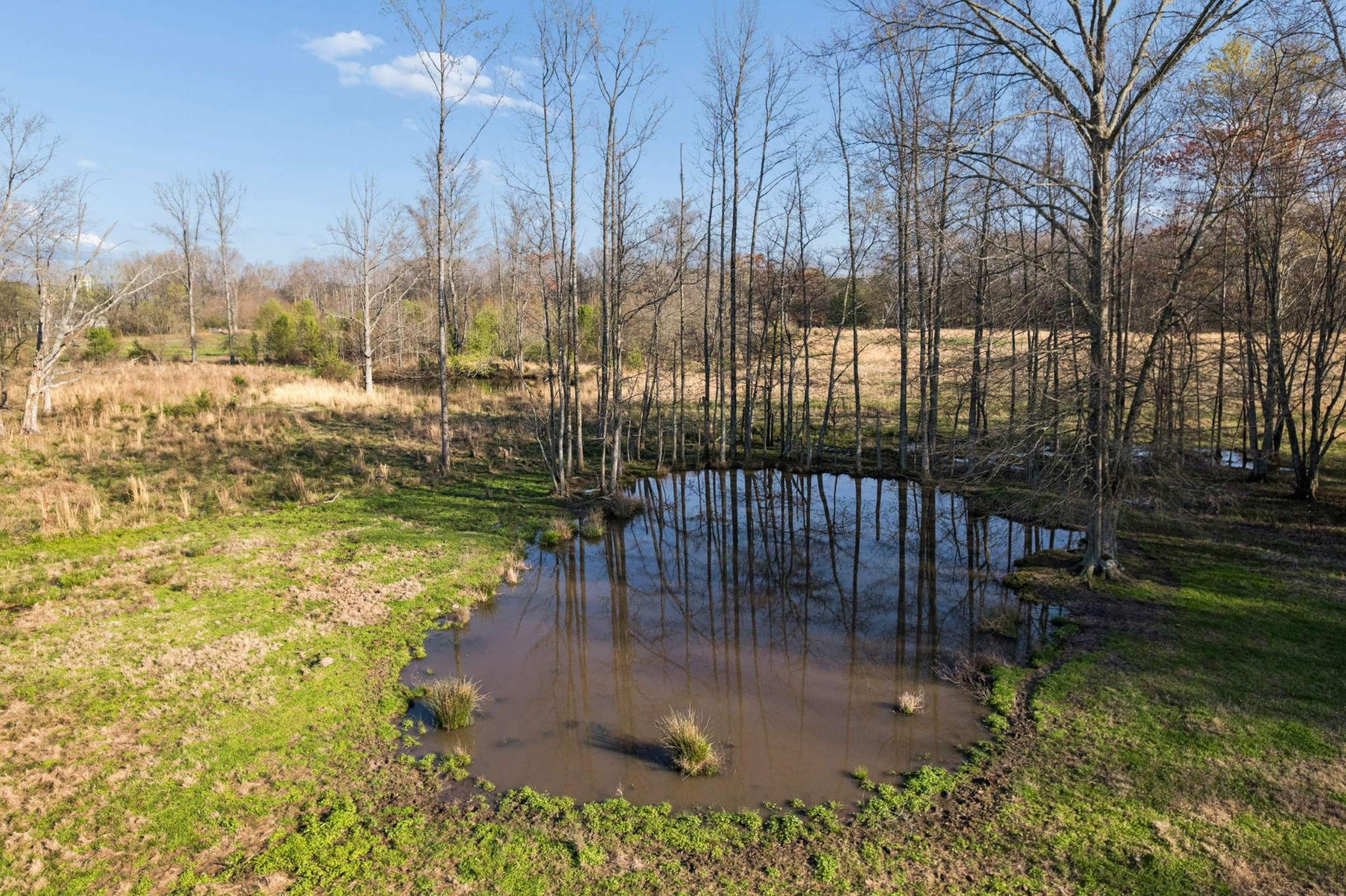 324 Laster-Holman Lane Decherd, TN 37324 - Photo 43 of 60