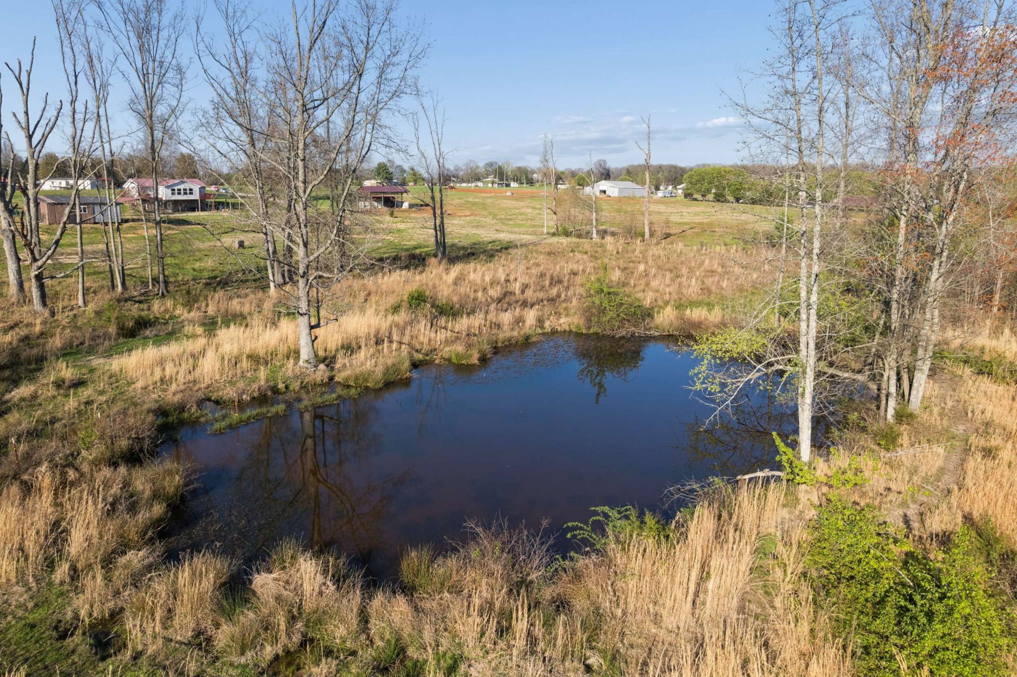 324 Laster-Holman Lane Decherd, TN 37324 - Photo 44 of 60