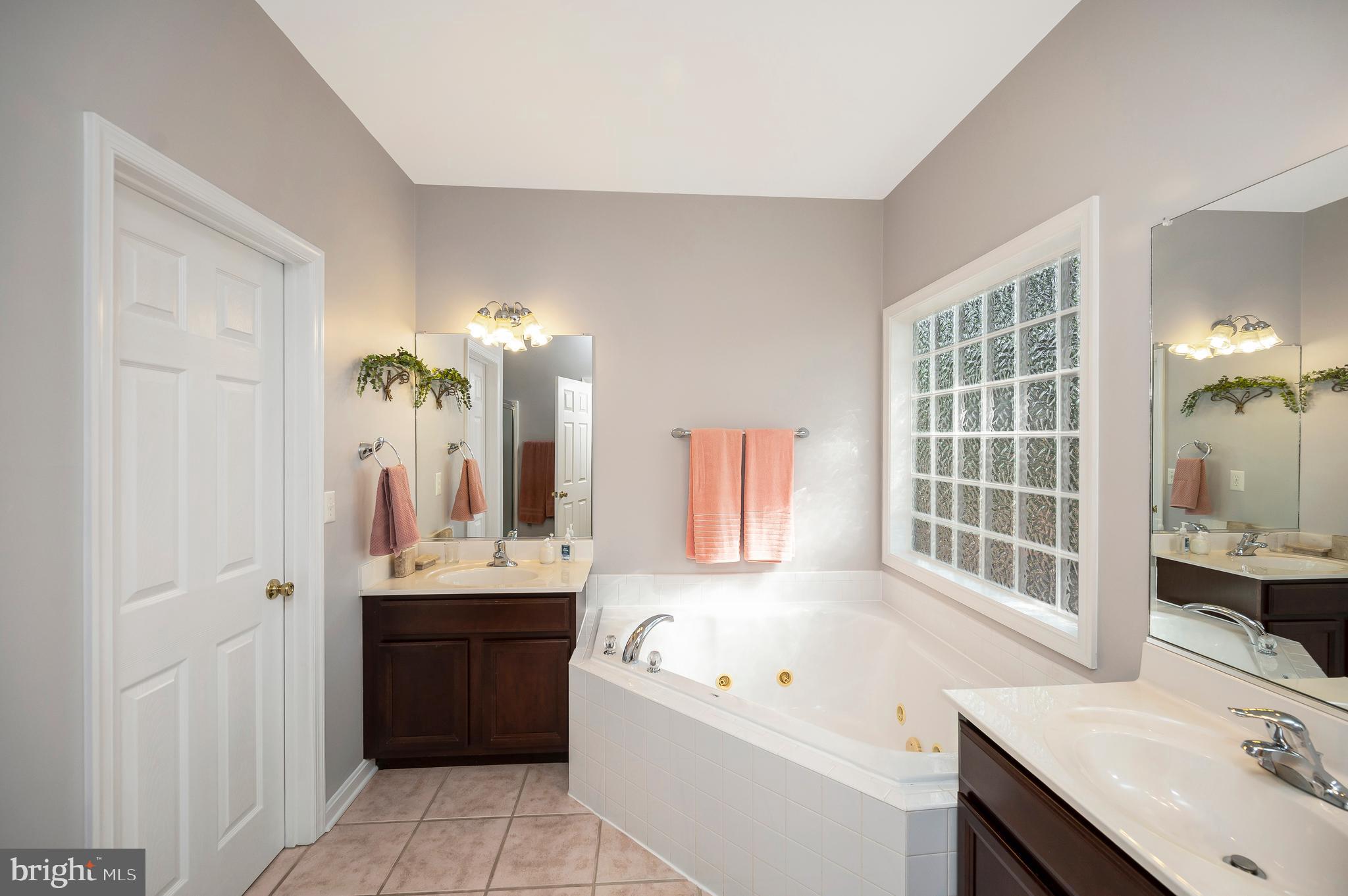 626 Cornwallis Avenue Locust Grove, VA 22508 - Photo 29 of 85 a bathroom with a tub sink and mirror
