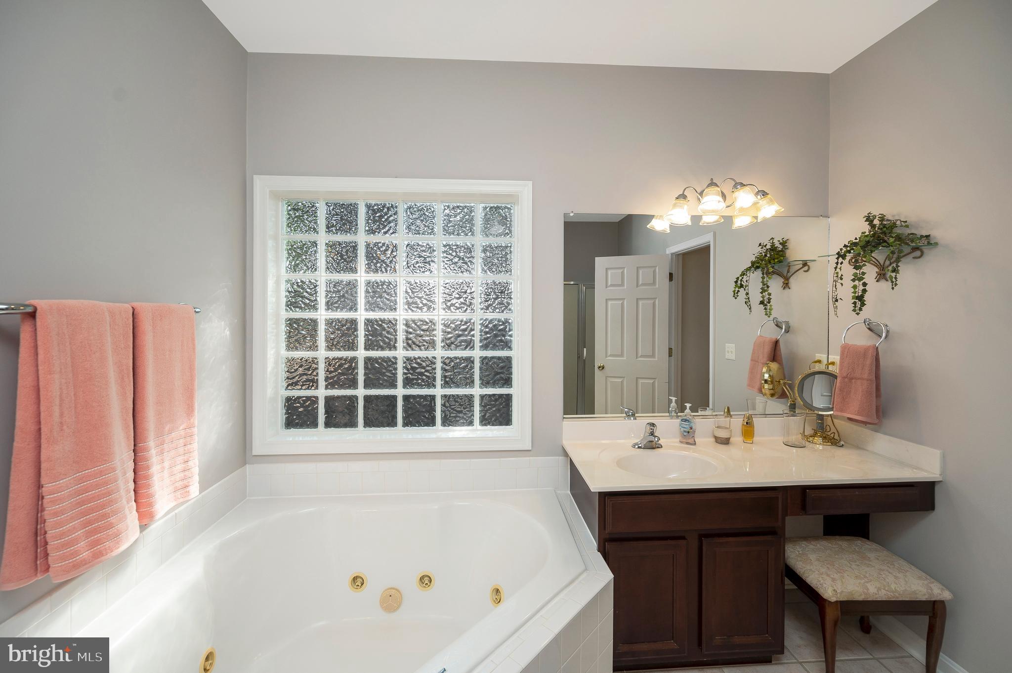 626 Cornwallis Avenue Locust Grove, VA 22508 - Photo 30 of 85 a bathroom with a bathtub a sink and a large mirror