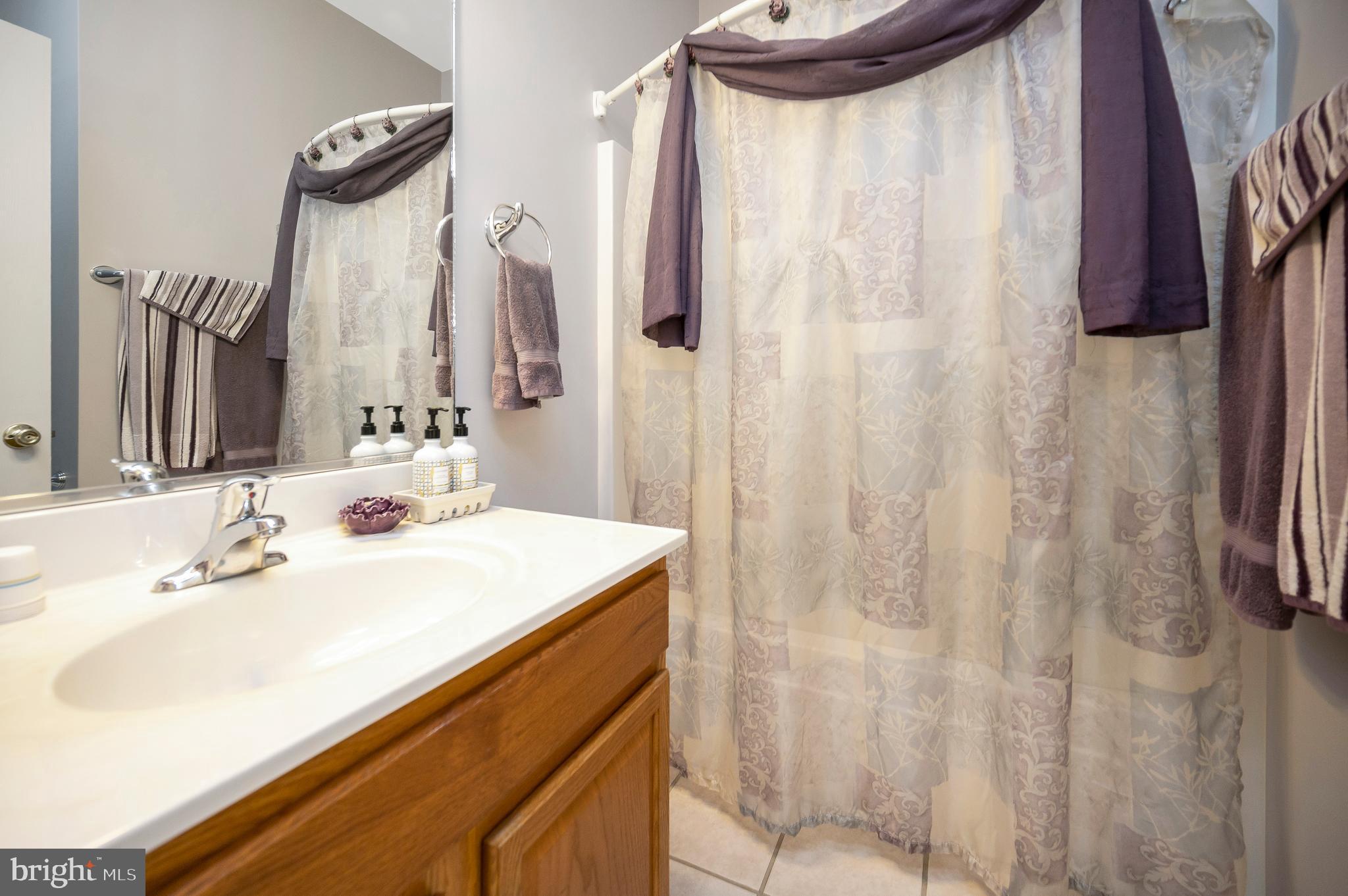 626 Cornwallis Avenue Locust Grove, VA 22508 - Photo 36 of 85 Guest Bath