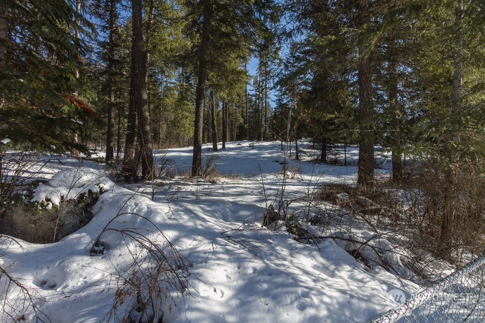 1144 State Rte 20 Colville, WA 99114 - Photo 27 of 38 a view of a forest with trees