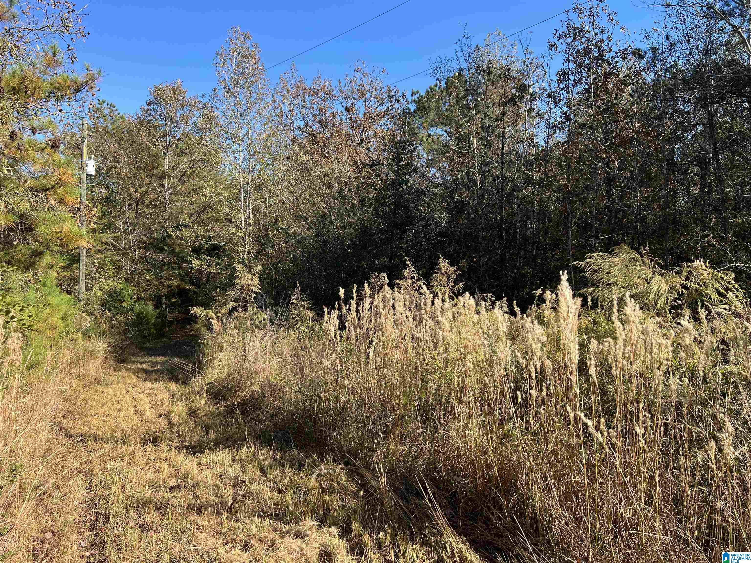 695 Brown Road, Unit 10 ACERS Sylacauga, AL 35150 - Photo 1 of 3