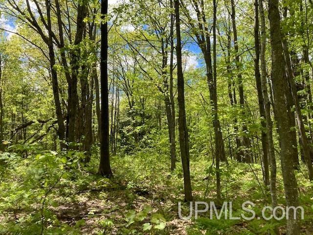 2 Boundary Road Chassell, MI 49916 - Photo 61 of 77