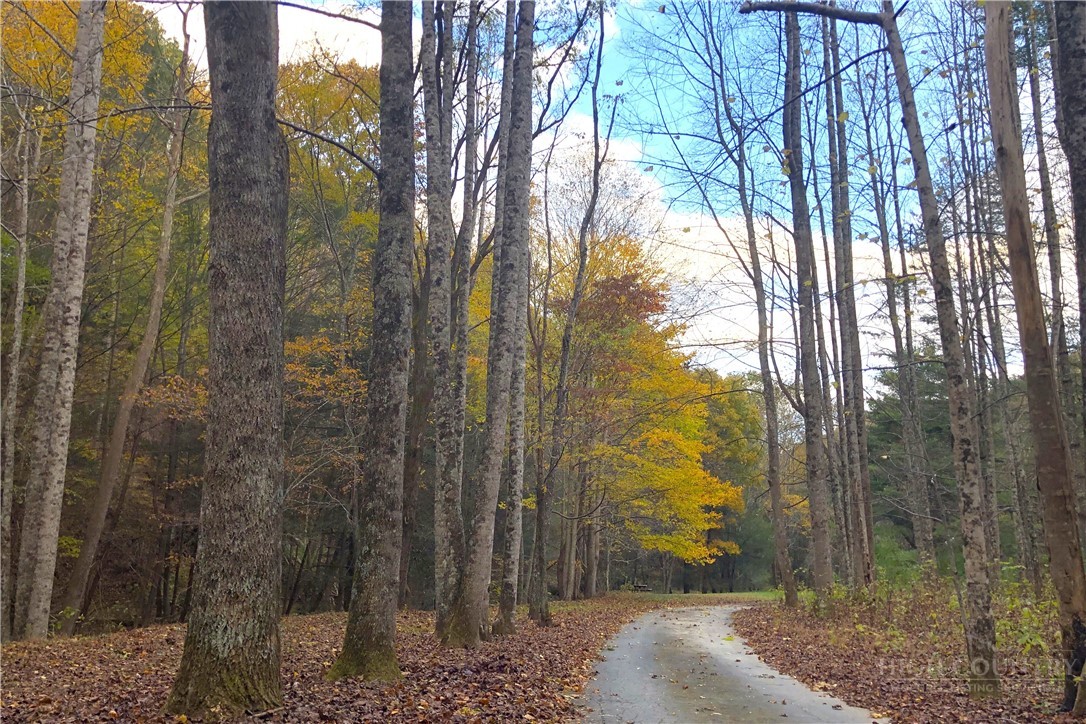 982 Jake's Mountain Road Deep Gap, NC 28618 - Photo 45 of 50 Gallery Image 45