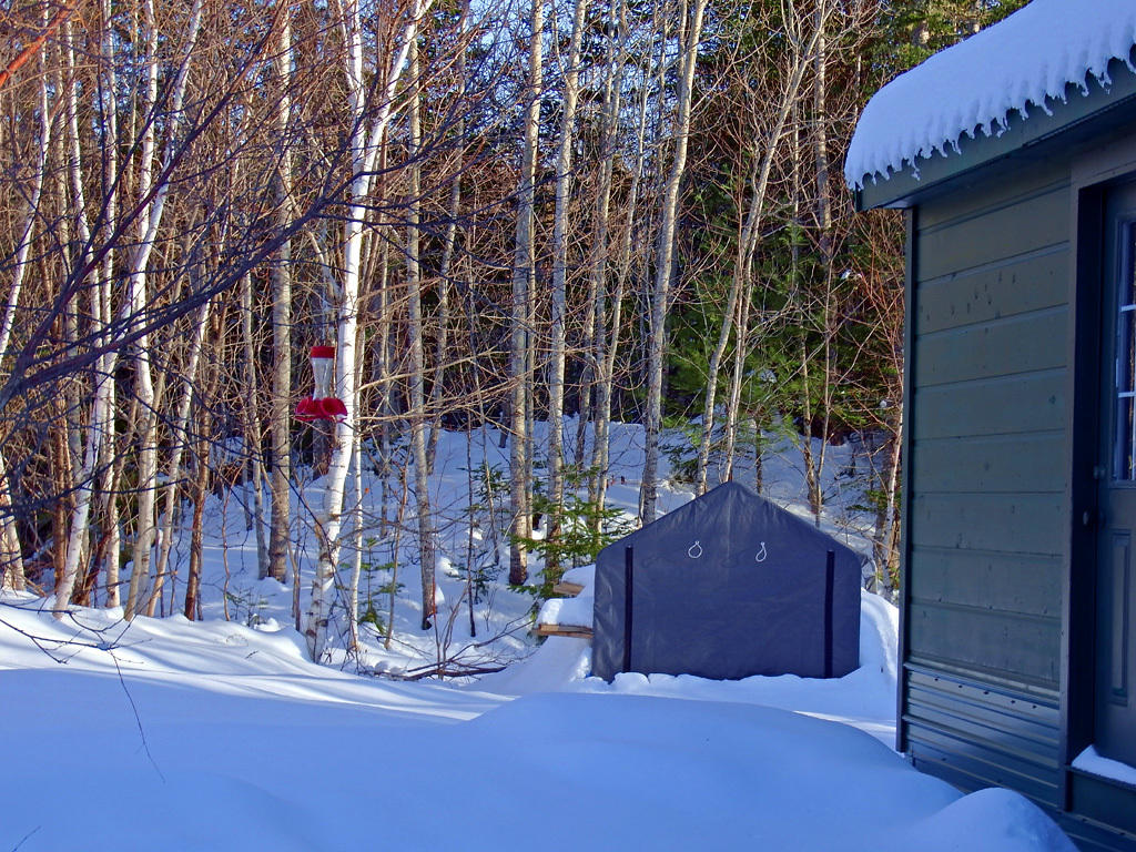 342 Station Road Littleton, ME 04730 - Photo 7 of 21 342-station-rd-land-10