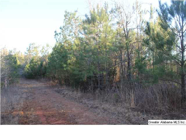 59 County Road, Unit 31 Woodland, AL 36280 - Photo 1 of 3