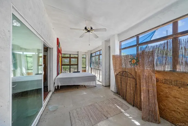 a view of a bunch of trees in a field