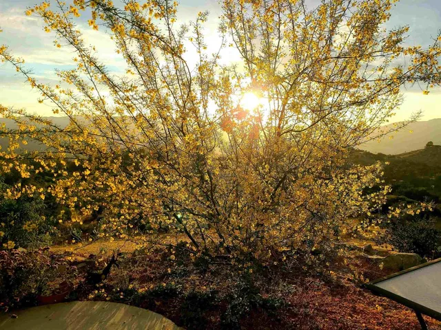 a view of a livingroom with furniture and floor to ceiling window