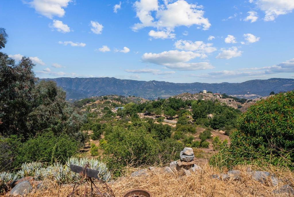 2620 Mar Vinga Lane Fallbrook, CA 92028 - Photo 46 of 71