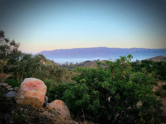 a view of a lot of a yard from a balcony