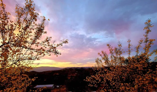 a view of a hallway with furniture and garden view