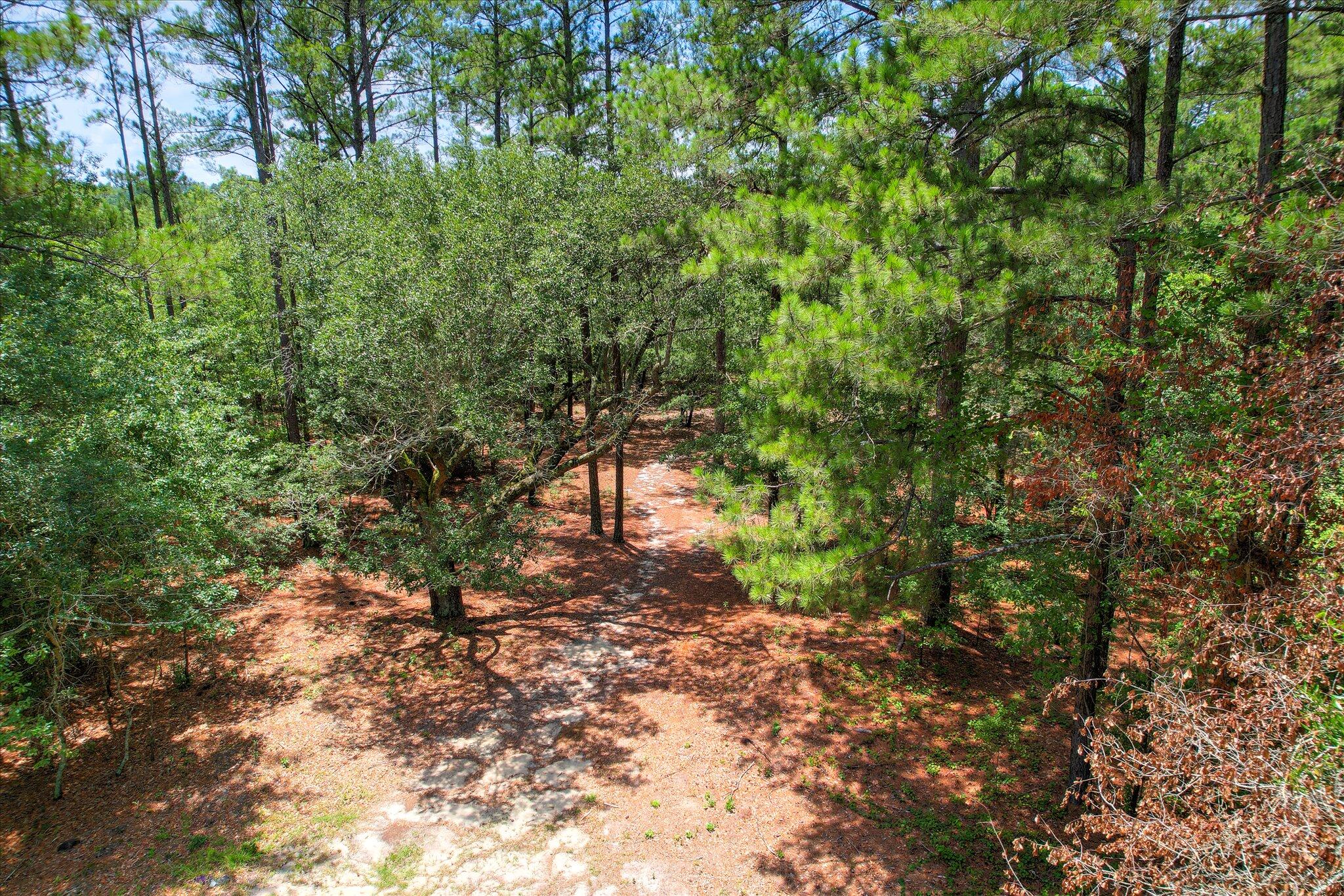 110 New Bridge Road Aiken, SC 29801 - Photo 57 of 62 10-108