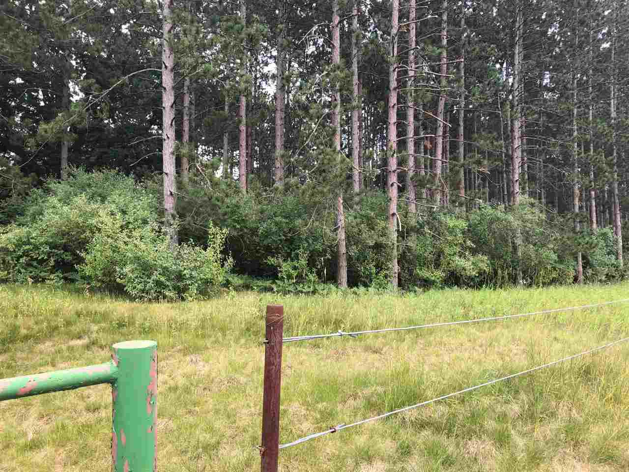 A-b South Rolland Road Weidman, MI 48893 - Photo 2 of 5