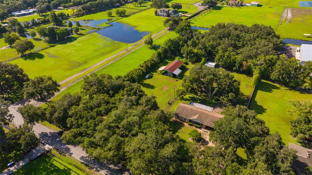 5701 Miley Road Plant City, FL 33565 - Photo 13 of 47 Gallery Image 13