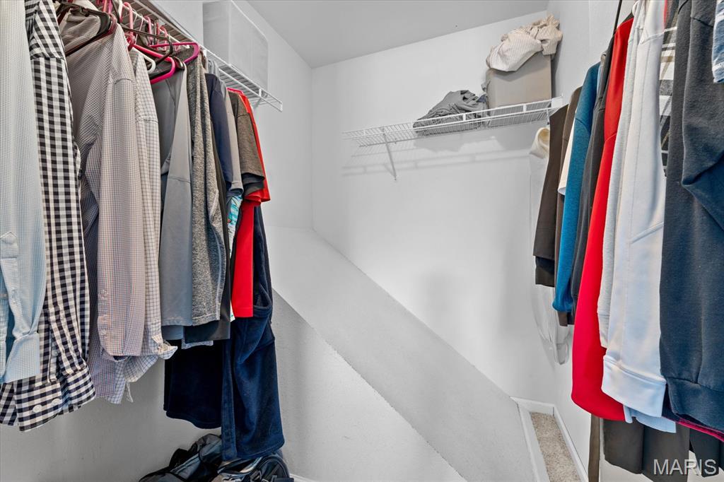 409 Hartmann Lane Waterloo, IL 62298 - Photo 28 of 36